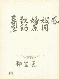 导致婚姻感情破裂的原因