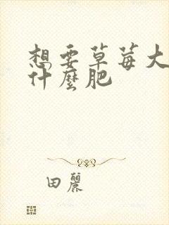 想要草莓大个施什么肥