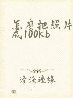 怎么把照片压缩成100kb