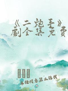 《二炮手》电视剧全集免费观看