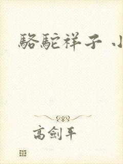 骆驼祥子 小说