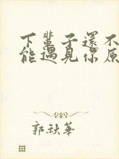 下辈子还不一定能遇见你原唱