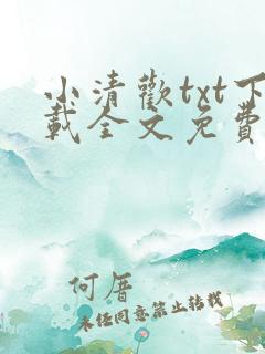 小清欢txt下载全文免费阅读