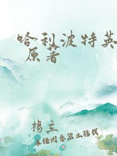 哈利波特英文版 原著