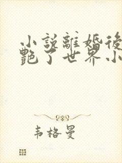 小说离婚后她惊艳了世界小说