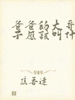 爸爸的大哥的儿子应该叫什么