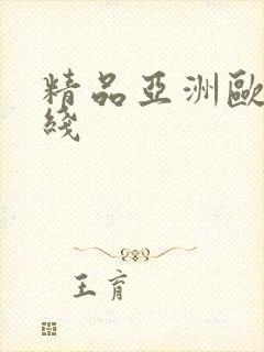 精品亚洲欧美在线