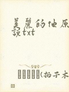 美丽的他原著小说txt