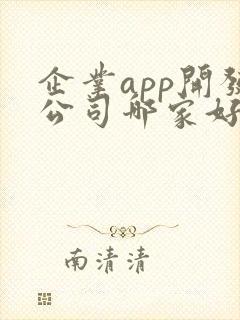 企业app开发公司哪家好