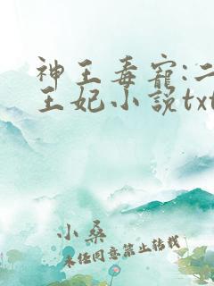 神王毒宠:二嫁王妃小说txt