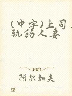 (中字)上司出轨的人妻