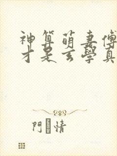 神算萌妻傅太太才是玄学真大佬原著