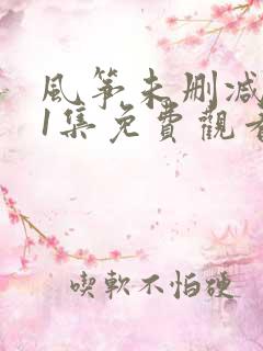 风筝未删减版51集免费观看