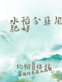 水稻分蘖用什么肥好