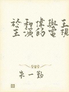 于和伟与王丽坤主演的电视剧