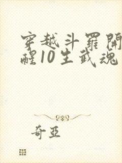 穿越斗罗开局觉醒10生武魂