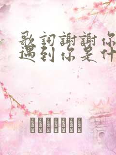 歌词谢谢你让我遇到你是什么歌
