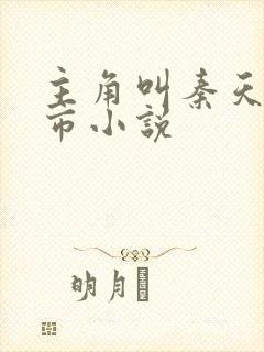 主角叫秦天的都市小说