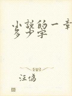 小说的一章大概多少字