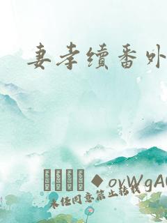 妻孝续番外篇