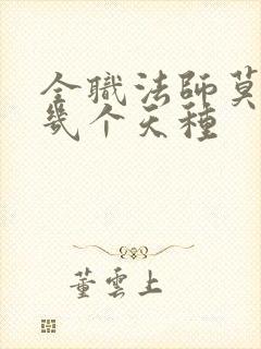 全职法师莫凡有几个天种