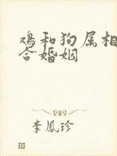 鸡和狗属相合不合婚姻