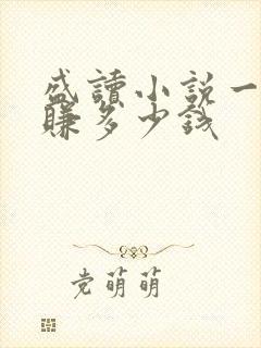 盛读小说一天能赚多少钱
