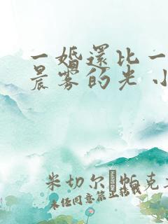 一婚还比一婚高晨雾的光 小说