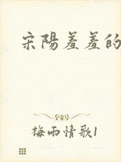 宋阳羞羞的铁拳