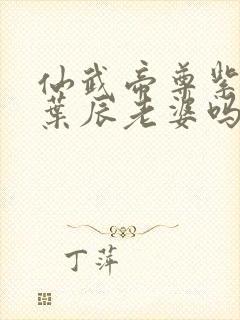 仙武帝尊紫萱是叶辰老婆吗