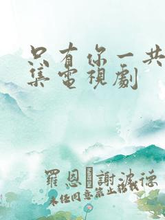 只有你一共多少集电视剧