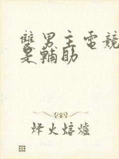 双男主电竞文受是辅助