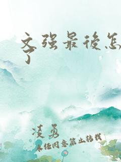 文强最后怎么样了