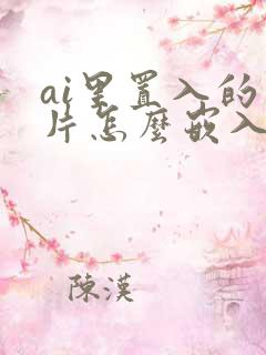 ai里置入的图片怎么嵌入