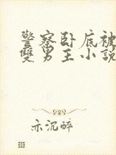 警察卧底被发现双男主小说推荐完结了吗