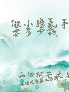 做小肠气手术需要多少钱