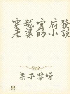 穿越官府发四个老婆的小说