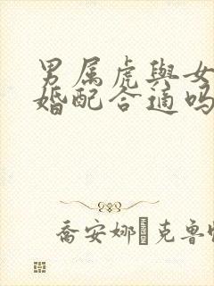 男属虎与女属牛婚配合适吗
