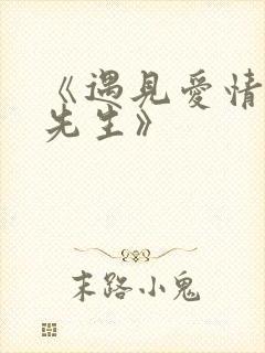 《遇见爱情的利先生》