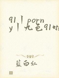 91丨porny丨九色91啦