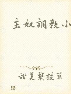 主奴调教小说