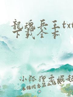 龙魂兵王txt下载全本