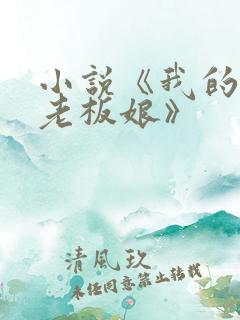 小说《我的绝色老板娘》