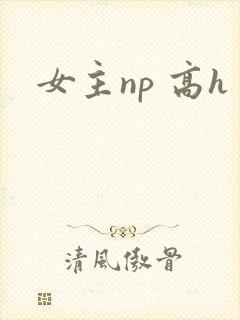 女主np 高h