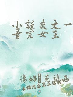 小说爽文一口气看完女主