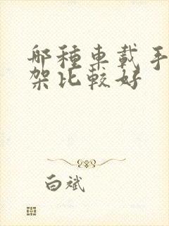 哪种车载手机支架比较好