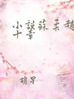 小说苏柔赵刚第十章