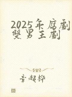 2025年腐剧双男主剧