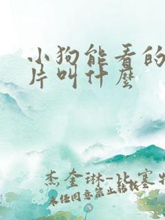 小狗能看的动画片叫什么