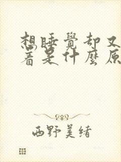 想睡觉却又睡不着是什么原因